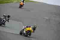 Middle Group Yellow Bikes